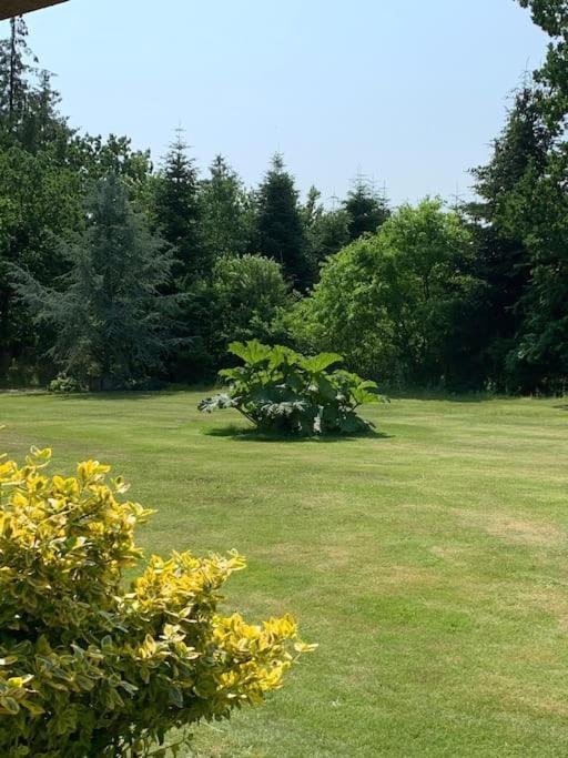 Villa Solhoj - A Nice Quite Place Just Outside Billund Exterior foto